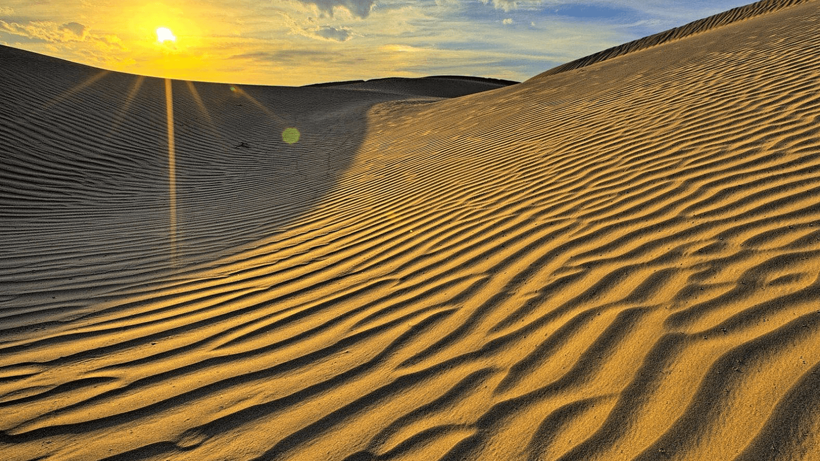 Garagum Desert